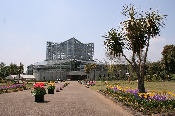 茨城県植物園 熱帯植物館