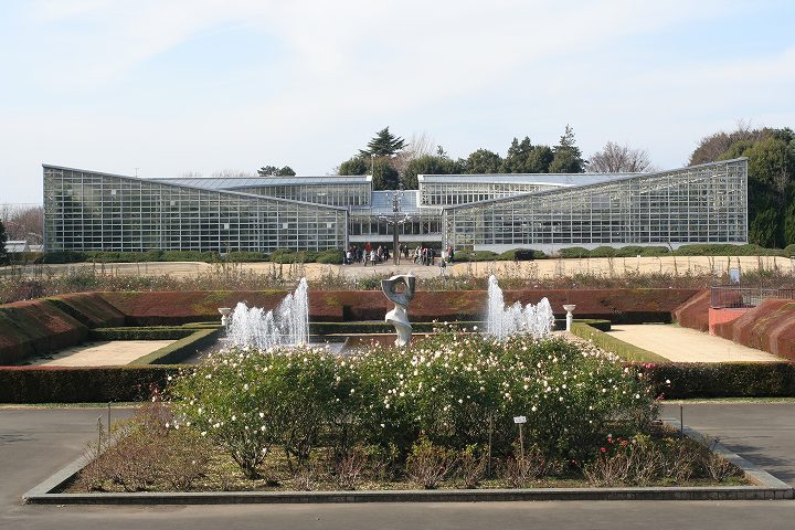 神代植物公園 温室