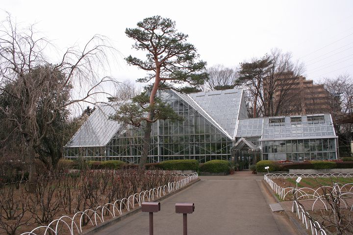 東京都薬用植物園 温室